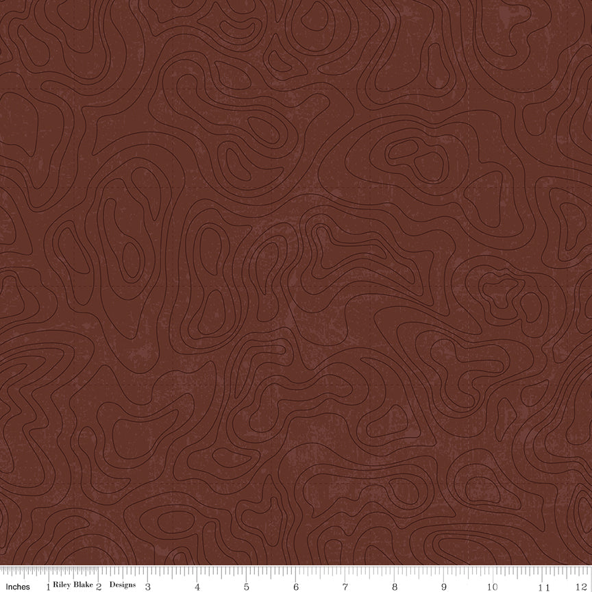 Riley Blake Designs | National Parks | Topographic | Brown | C13293-BROWN