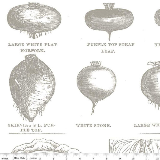 Riley Blake | Pumpkin Patch | Vintage Veggies | Gray | J Wecker Frisch