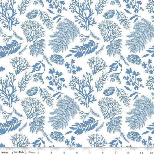 Riley Blake | Ocean Oasis | White
