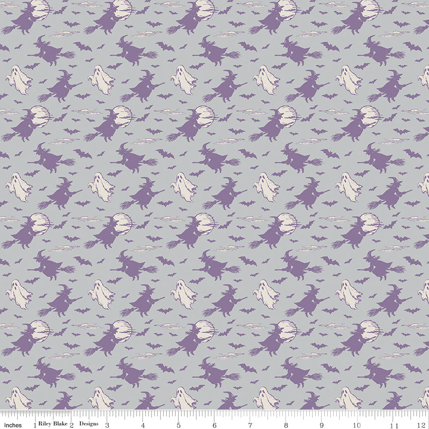 Riley Blake Designs | Cobweb Cottage | Halloween Skies Silver | Gray | C19084-SILVER
