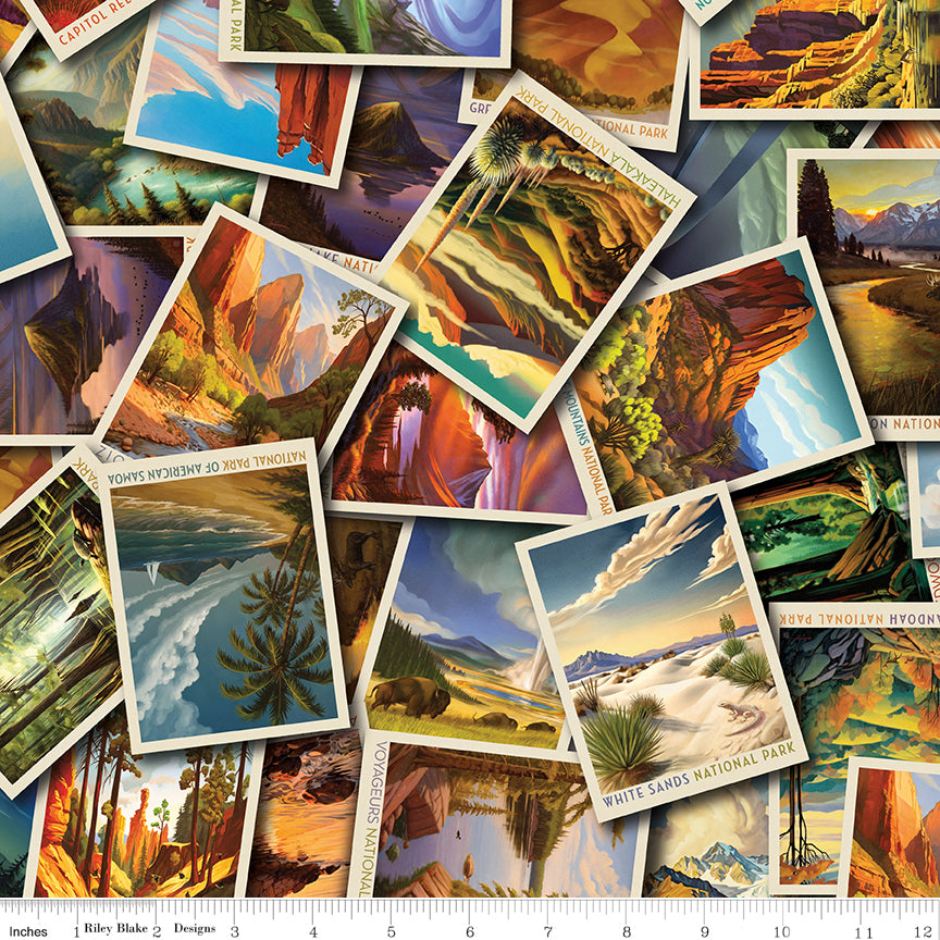 Riley Blake Designs | National Parks | Postcard Toss | Multi | CD19160-MULTI