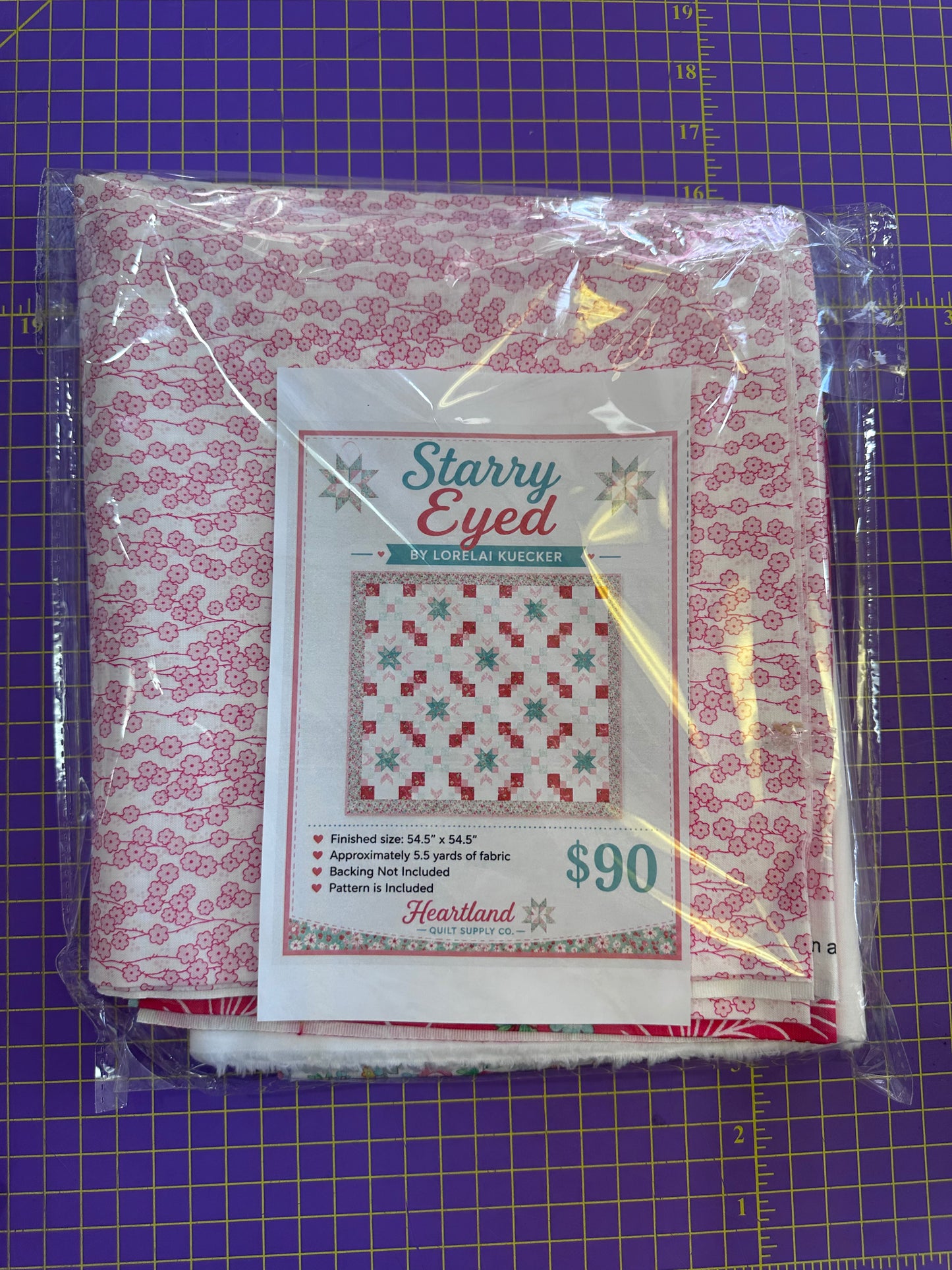 Quilt Kit | Starry Eyed Quilt Kit | Lorelai Kueker Fabric and Handcut by Heartland Quilt Supply Co.