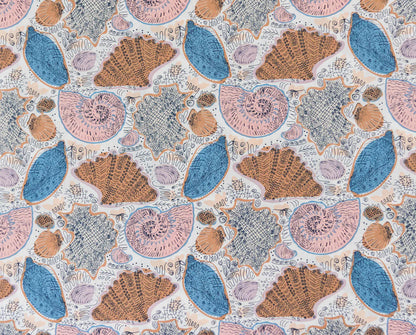 AGF | Coastline | Conchology Sand