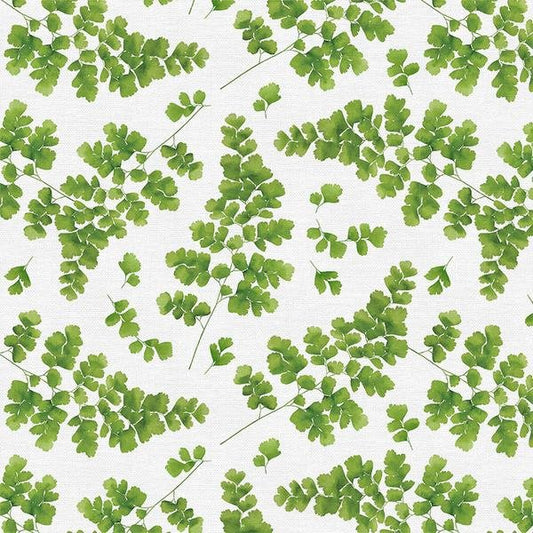 Paintbrush Studio | Modern Botanicals | Maidenhair