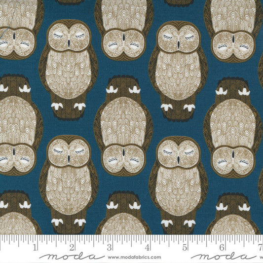 Moda | Nocturnal | Gingiber | Sleeping Owls in Lake