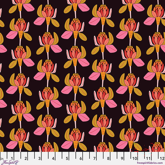 FreeSpirit | Springtime Splendour | Protea Majestica | Licorice | PWKI028.LICORICE