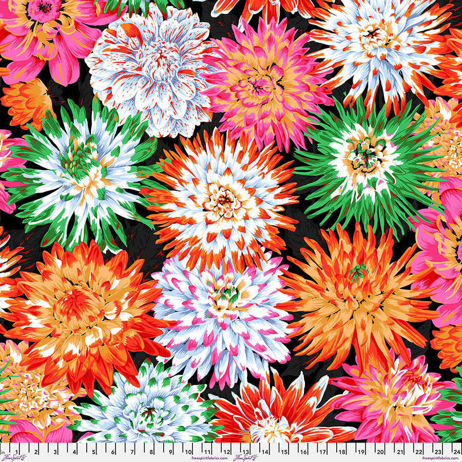 Free Spirit | Cactus Dahlia - Contrast | February 2026 | Philip Jacobs
