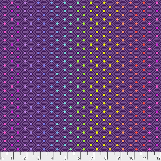 Hexy Rainbow - Starling Tula Pink True Colors FreeSpirit fabric