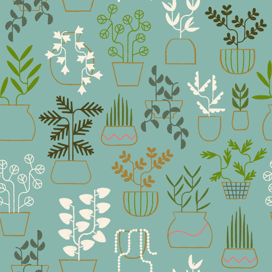 Ruby Star Society | Calathea | Plant Life | RS5184-14