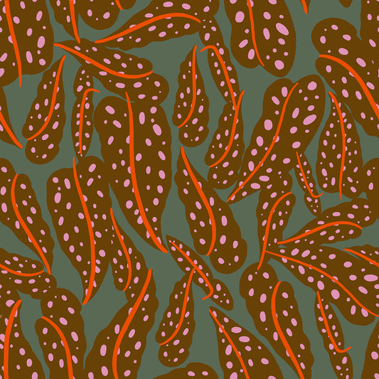 Ruby Star Society | Calathea | Overlapping Leaves | RS5187-12