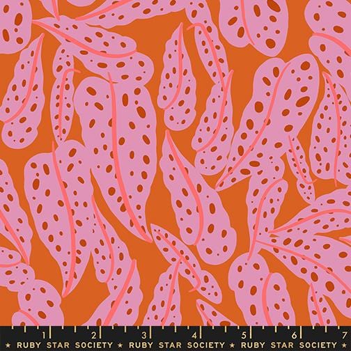Ruby Star Society | Calathea | Overlapping Leaves | RS5187-11