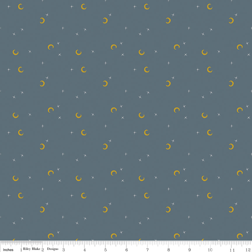 Riley Blake Designs | Cobweb Cottage | Moon and Stars Thunder Sparkle | Gray | SC19086-THUNDER