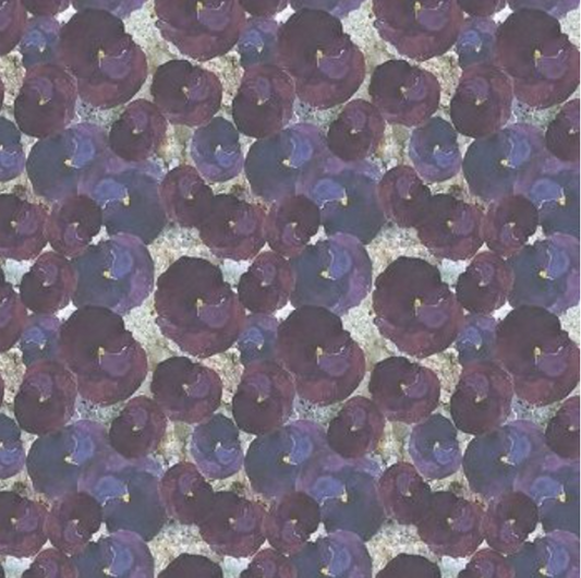 Free Spirit | Special Moments | Drifting Pansies  | Purple