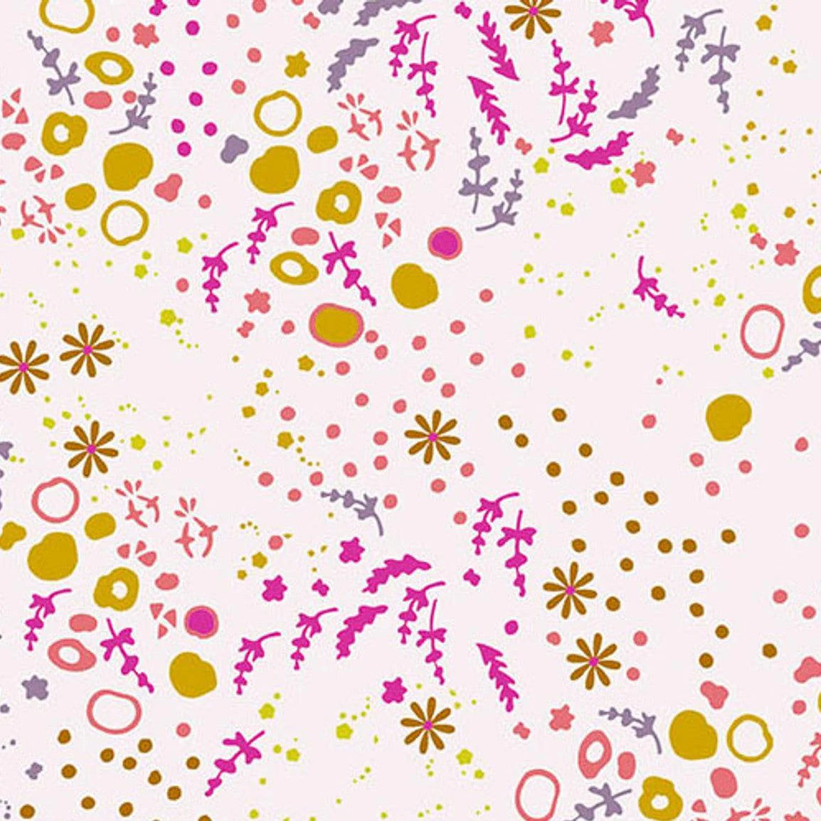 Andover | Sun Print 2026 | 10048 - A