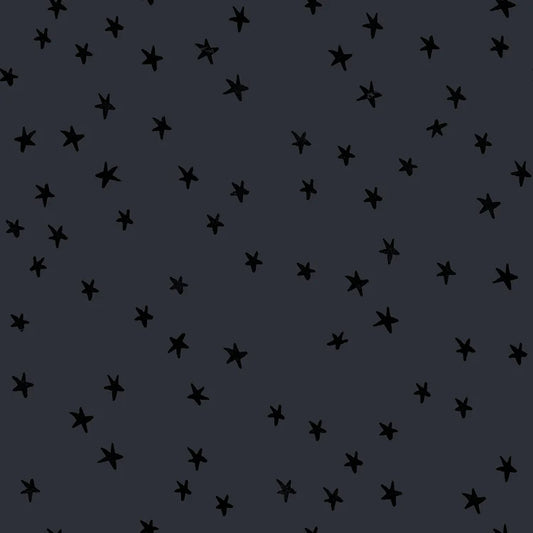 Ruby Star Society | Alexia Abegg | Starry | Charcoal