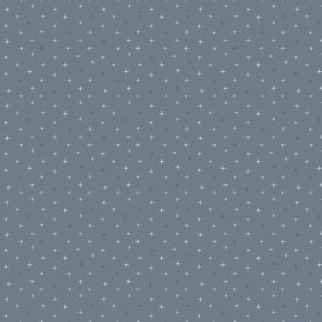 Cotton + Steel | Be Positive | Spellbound | CS108-PE24