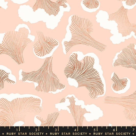 Ruby Star | Elixir | Melody Miller | Forager | Peach