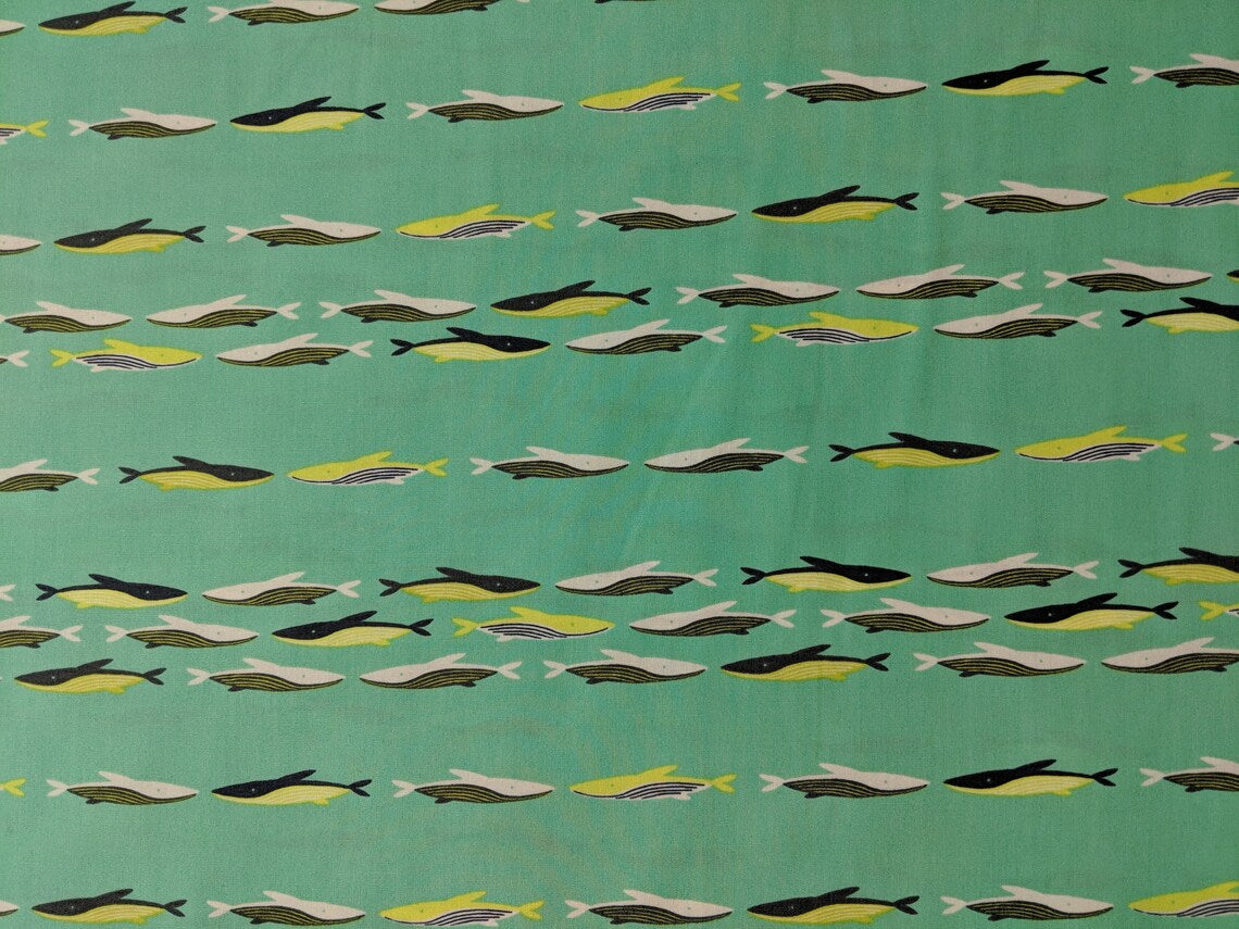 AGF | Sirena | Morning Whales