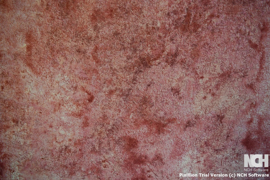 Paintbrush Studio | Marblehead | Crackled Impatient