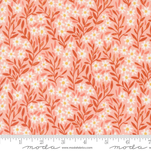 Moda | Kindred | 1 Canoe 2 | Daisy | Blush