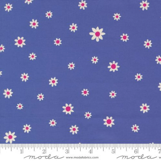 Moda | Maeve | Crystal Manning | Daisy | Periwinkle