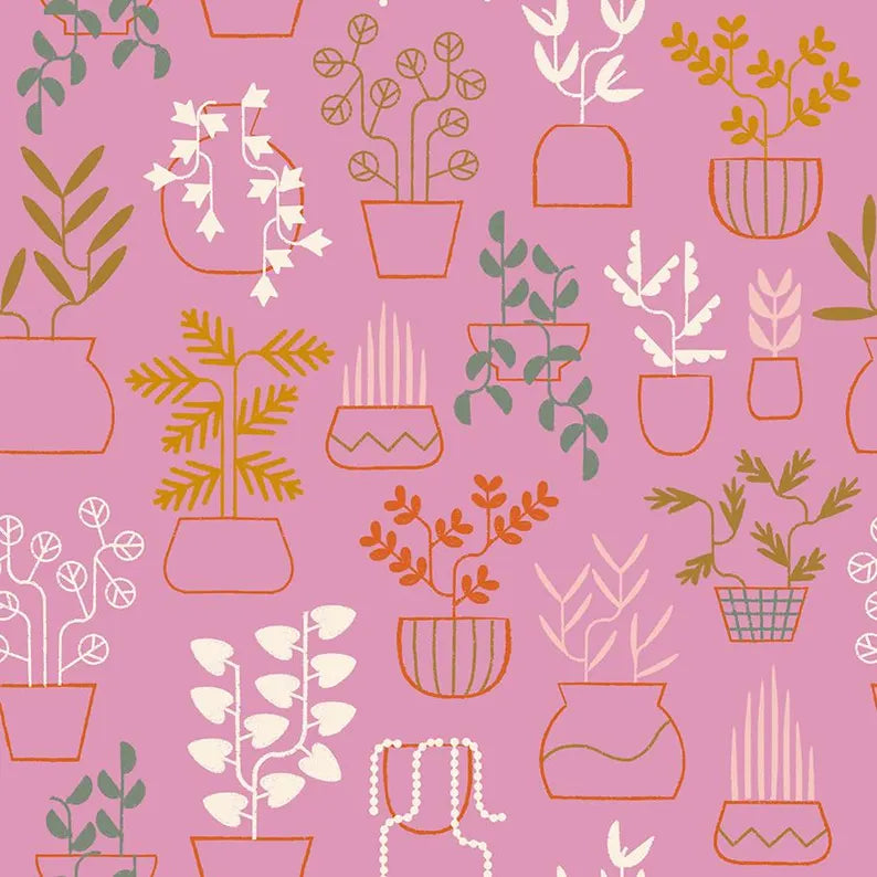 Ruby Star Society | Calathea | Plant Life | RS5184-13