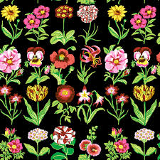 Free Spirit | Kaffe Fassett Collective | Flower Studies | Black