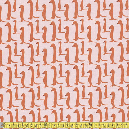 Paintbrush Studio | Animal Kingdom | Meerkat | Orange |Pink