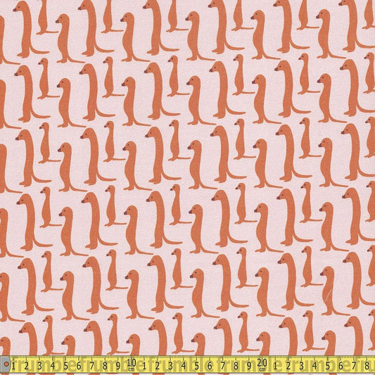 Paintbrush Studio | Animal Kingdom | Meerkat | Orange |Pink