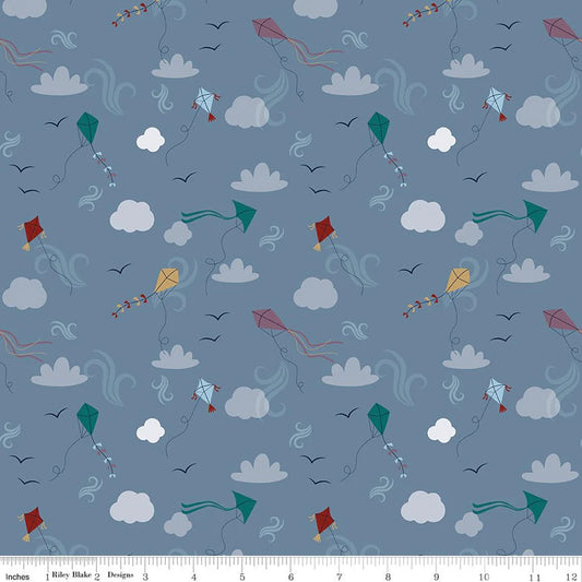 Riley Blake | A Spoonful of Sugar | Let's Go Fly a Kite | Storm | C17083