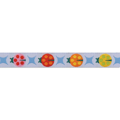 Ribbon | Painted Ladies on White | Tula Pink | 5/8"