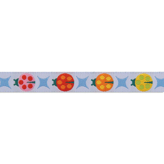 Ribbon | Painted Ladies on White | Tula Pink | 5/8"